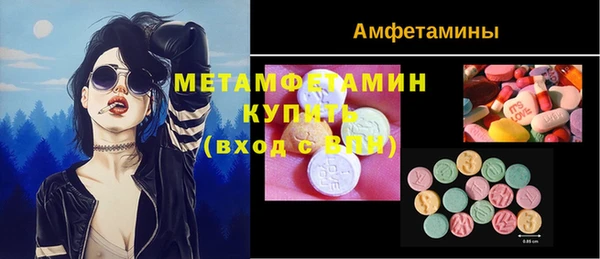 индика Козловка