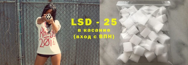 индика Козловка