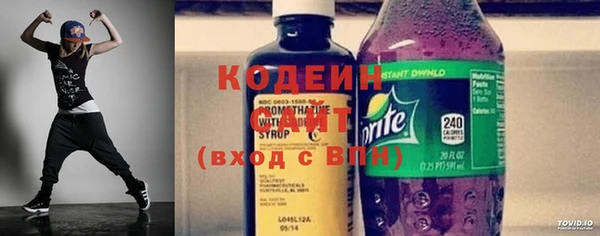 индика Козловка