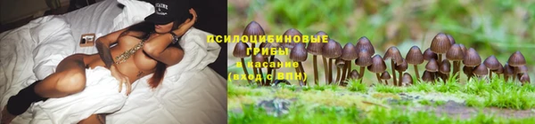 дурь Козельск