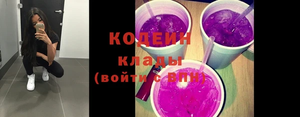 индика Козловка