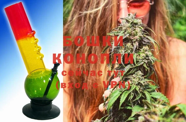 ГАЛЛЮЦИНОГЕННЫЕ ГРИБЫ Коряжма