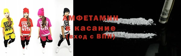 индика Козловка