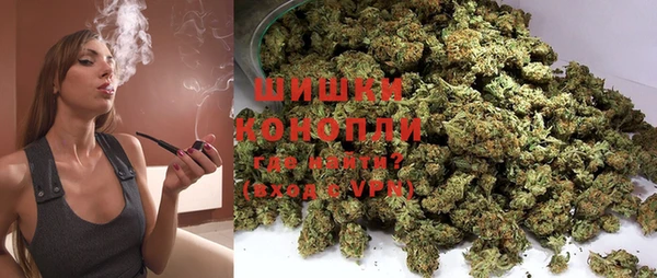 индика Козловка