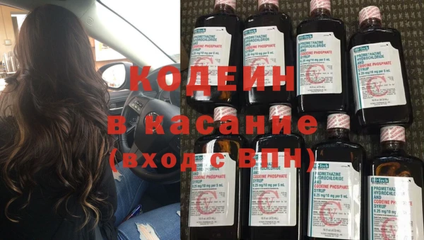 индика Козловка