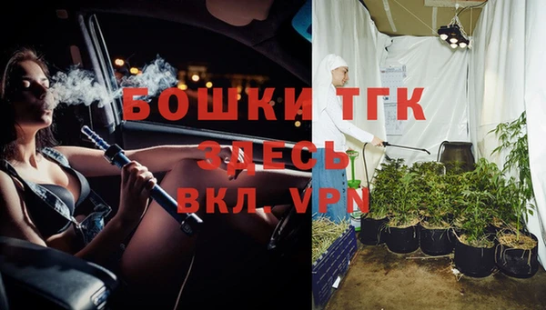 индика Козловка