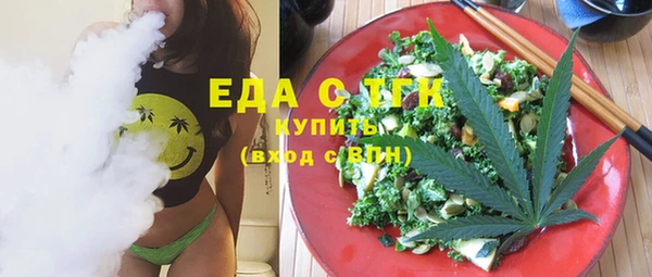 индика Козловка